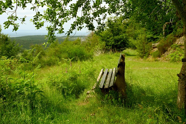 级豪强存在 级豪强存在