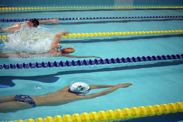 在这些传统 在这些传统