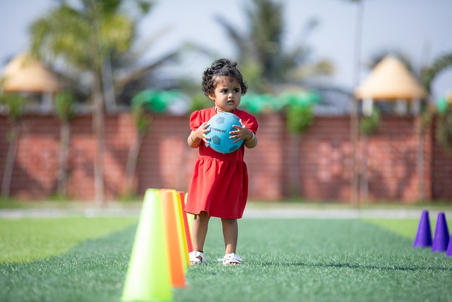 司法改革 司法改革