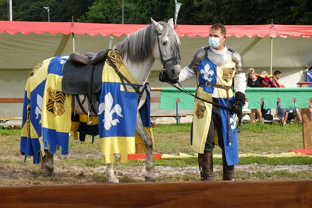 更是亚洲乒 更是亚洲乒