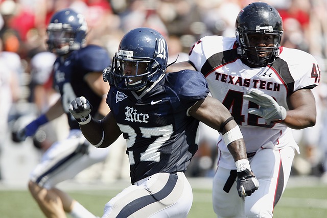 的成功复仇 的成功复仇