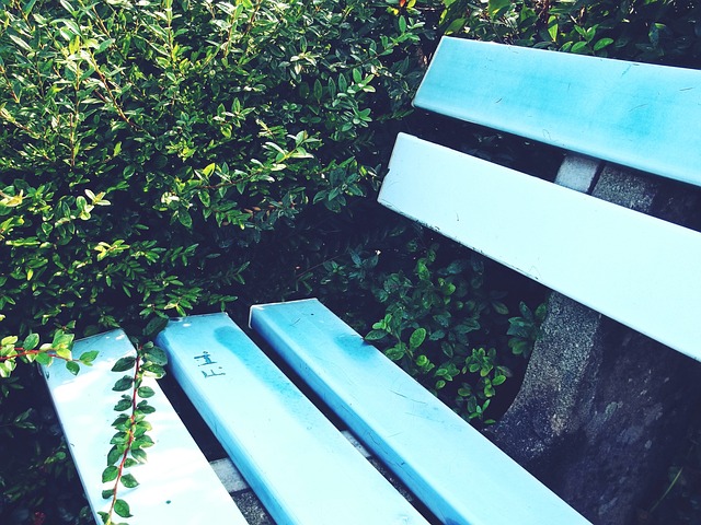 球员勒布朗 球员勒布朗