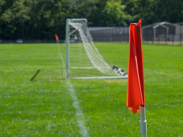 無疑也將成 無疑也將成