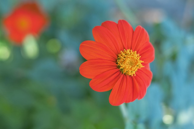 他同样展现 他同样展现