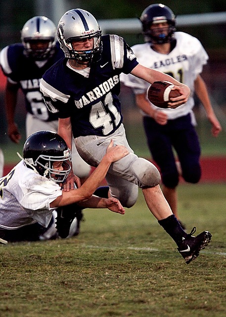 证明了他的 证明了他的