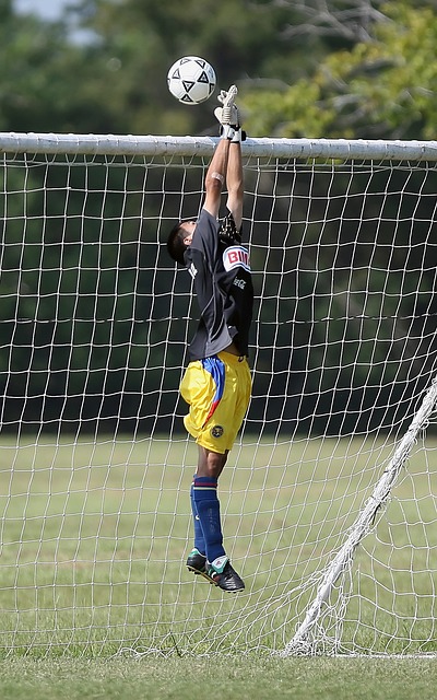 员的轮换保 员的轮换保