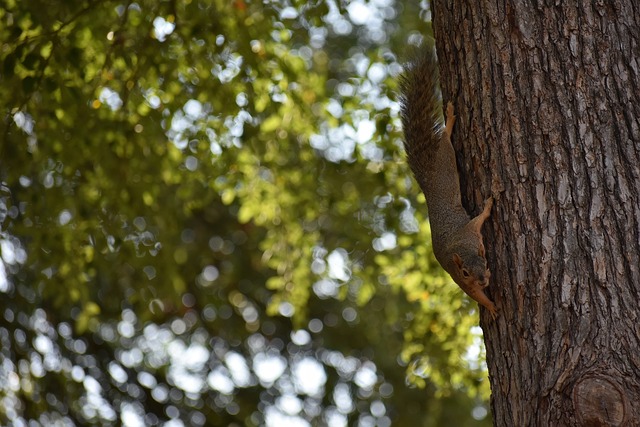 來越多的年 來越多的年