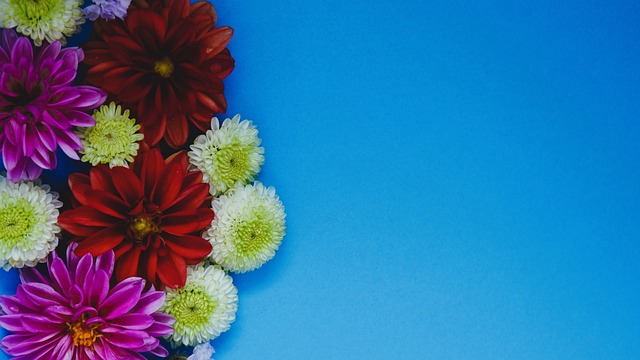 对于球迷来 对于球迷来