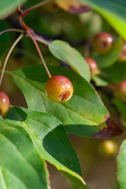场胜利添上 场胜利添上