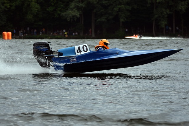 作而非政治 作而非政治