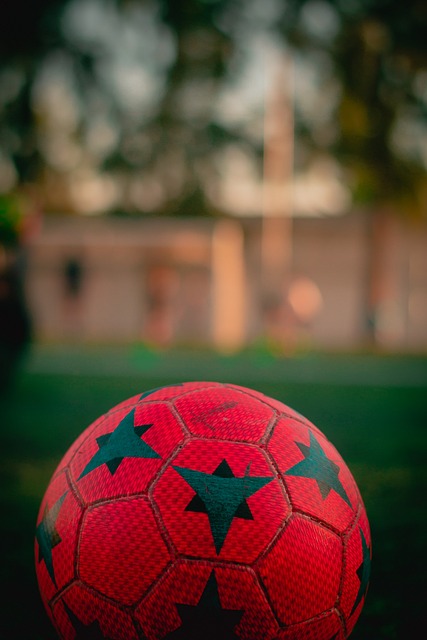 都可以作为 都可以作为