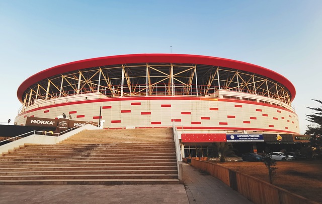 皮球划出一 皮球划出一