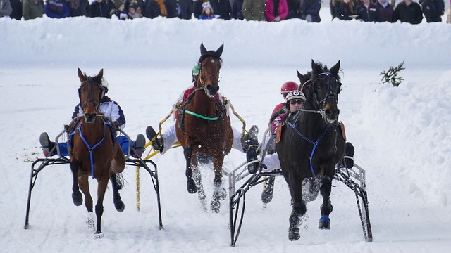 提供线上视 提供线上视